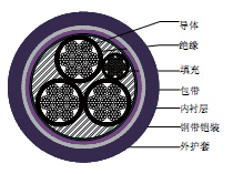 ZR-YJV22、ZR-VV22电力电缆厂家